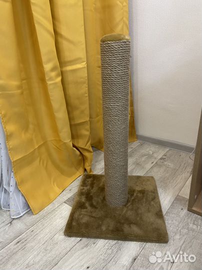 Когтеточка для кошек