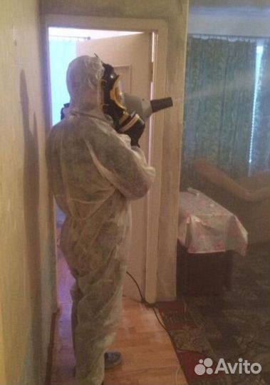 Средство для Уничтожения клопов, тараканов, крыс Дезинфекции