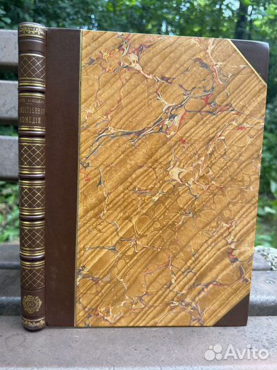 Божественная комедия Данте Алигъери 1900