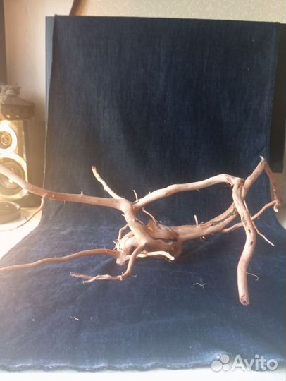 Коряги для аквариума