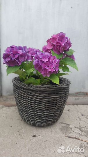 Кашпо из ротанга 16 литров