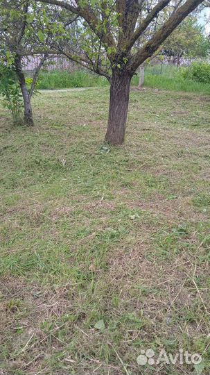 Сад, благоустройство