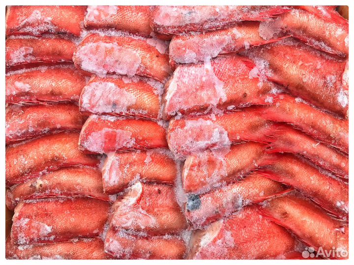 Окунь тушка безголовый морской / 150-300 гр