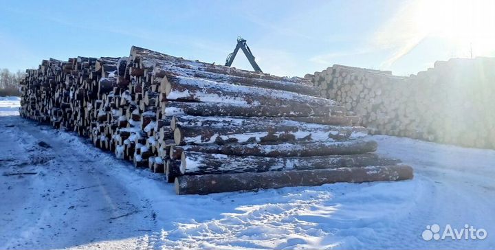 Круглый лес