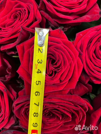Розы, цветы с доставкой от производителя. 24/7