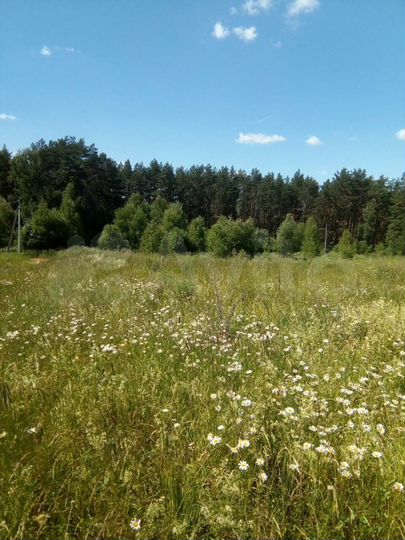 Участок 12,8 сот. (ИЖС)
