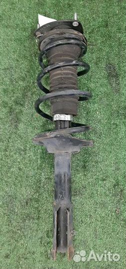 Амортизатор подвески передний Toyota Succeed