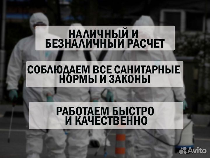 Уничтожение тараканов травить клопов обработка