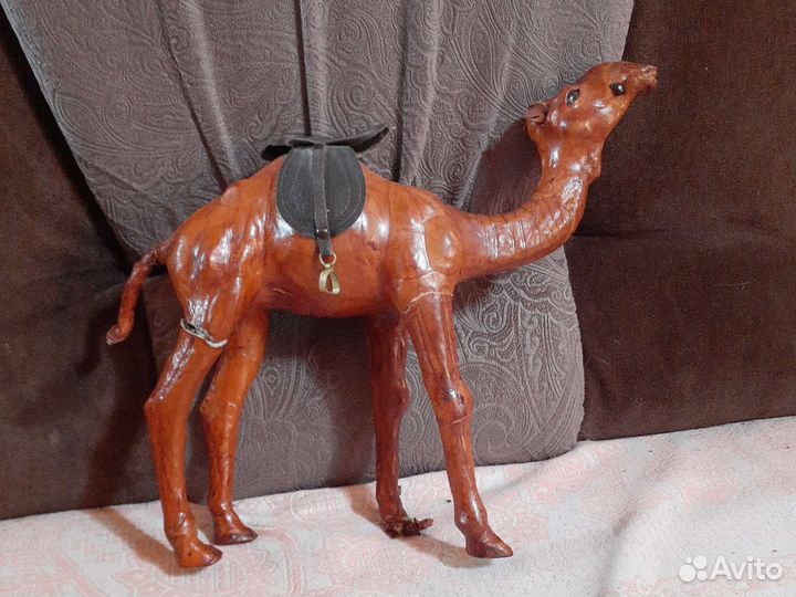 Верблюд кожаный