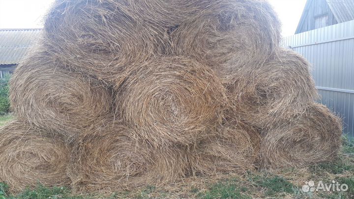 Сено в рулонах