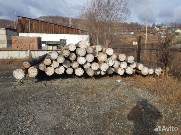 Сруб осина 6 9