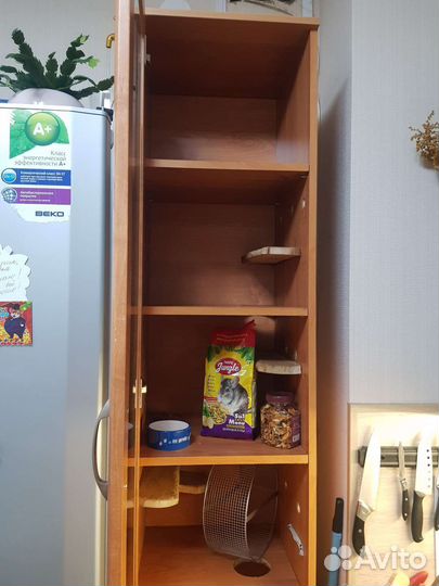 Витрина для шиншилл мышек