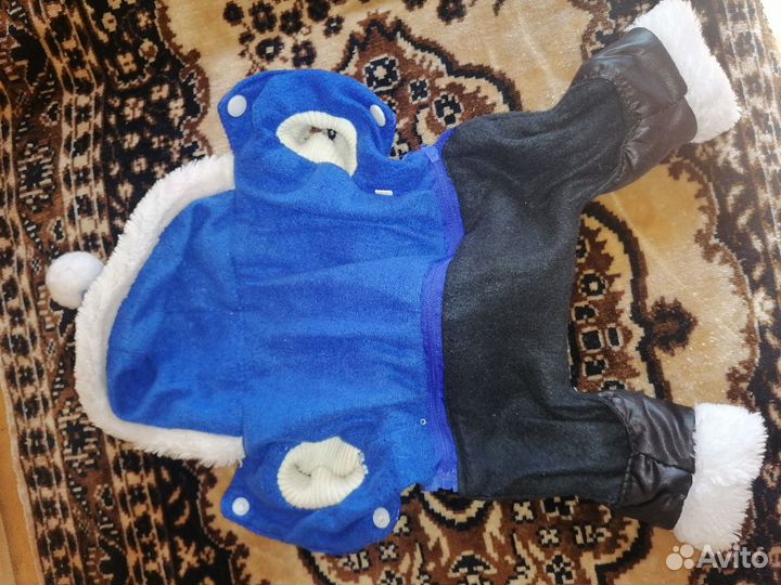 Одежда для маленькой собачки