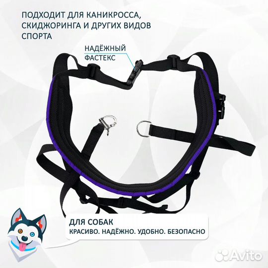 Набор для каникросса (Пояс+потяг+шлейка)