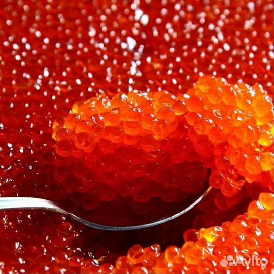 Икра красная(нерка,горбуша) Камчатка