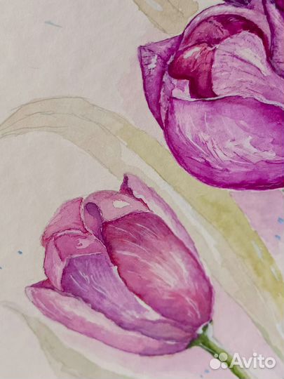 Картина акварель цветы Тюльпаны