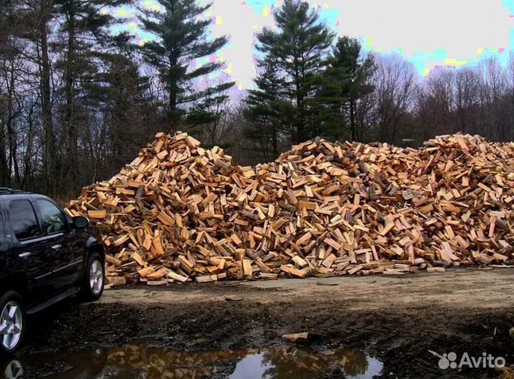 Дрова березовые