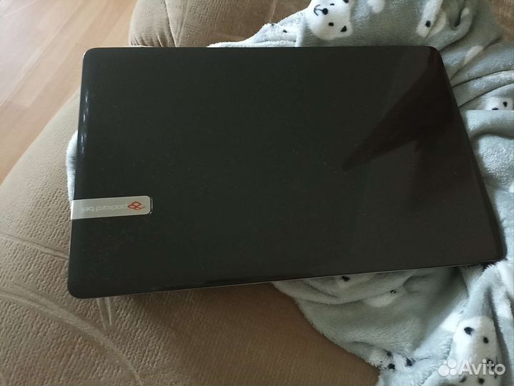 Ноутбук packard bell