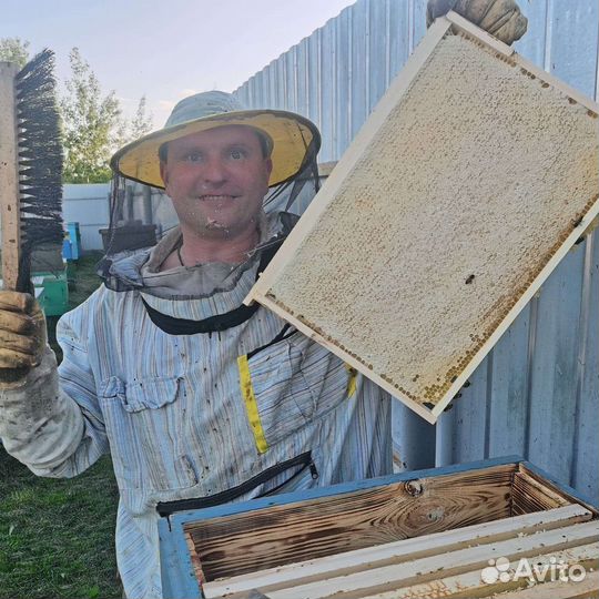 Мёд, соты, прополис, перга, пыльца с доставкой