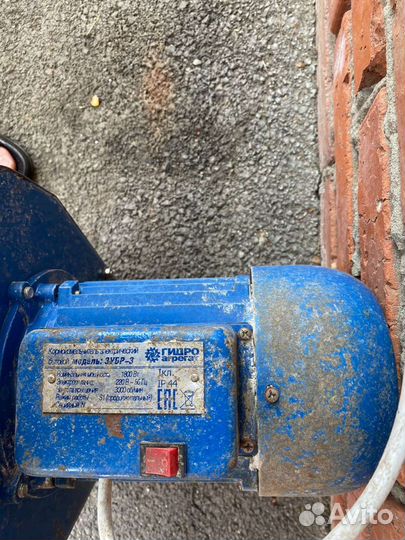 Крупорушка