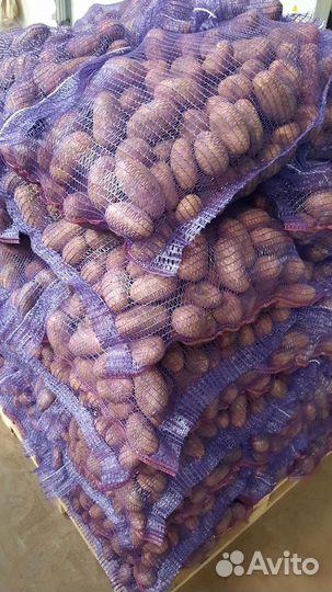 Картофель, рыба