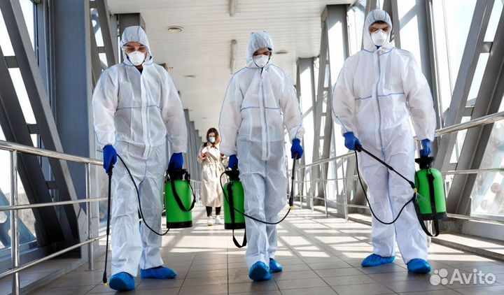 Дезинсекция, избавление от тараканов, клопов, вшей