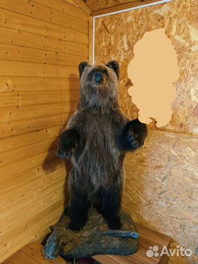 Медведя имитация