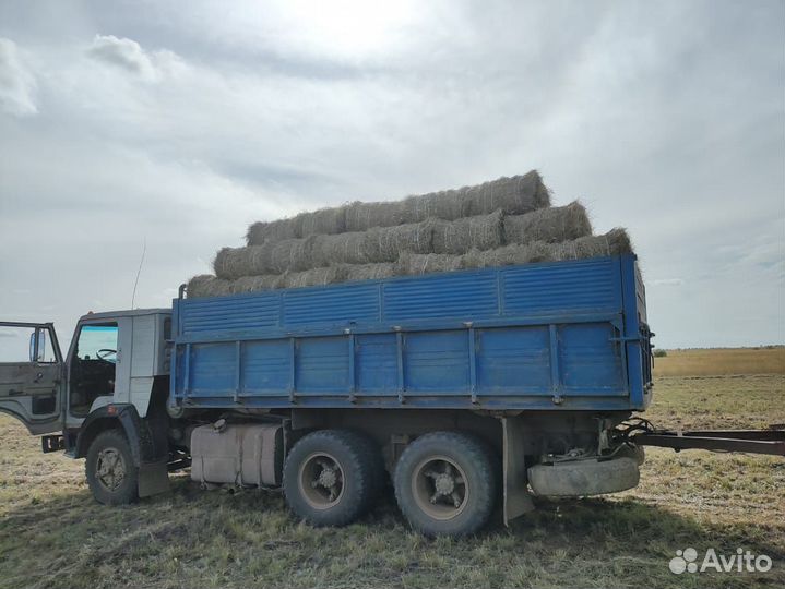 Сено продажа только камазом 300 шт. По 180