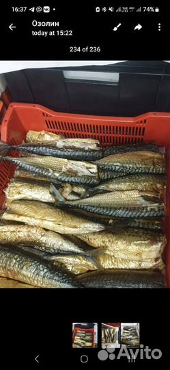 Скумбрия горячего копчения