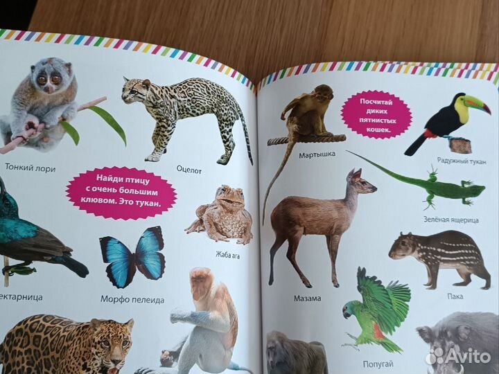 Детская книга про животных
