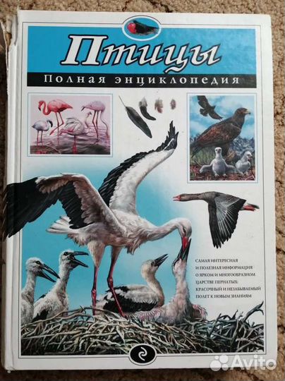 Детские энциклопедии