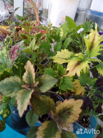 Избавляюсь от излишков красоты