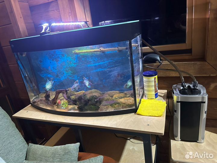 Комплект Аквариум с рыбками