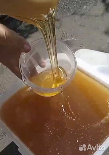 Оптом Свежий мед цветочный