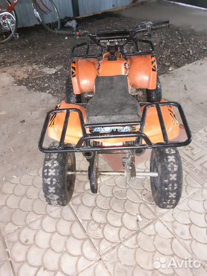 Мини-гризли