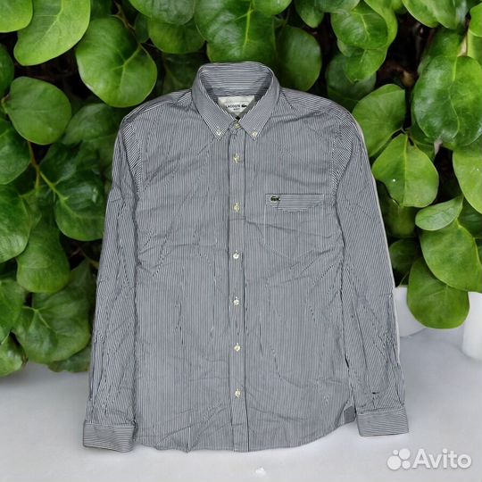 Рубашка Lacoste