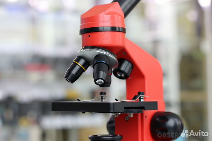 Микроскоп Levenhuk Rainbow 2L