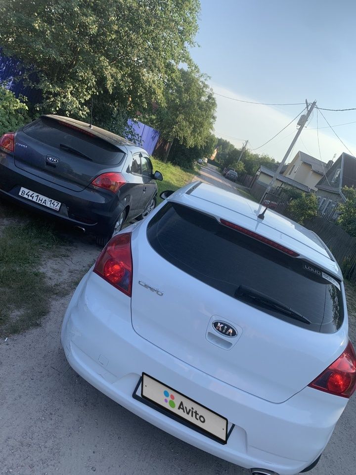 Kia Ceed: фото владельца