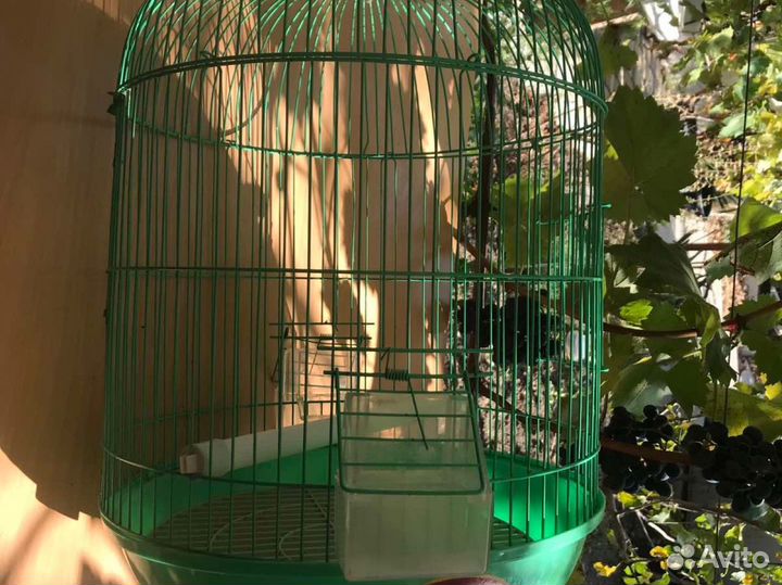 Клетка для попугая