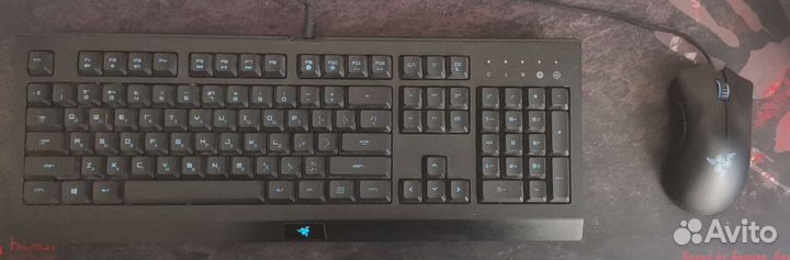 Razer cynosa pro bundle