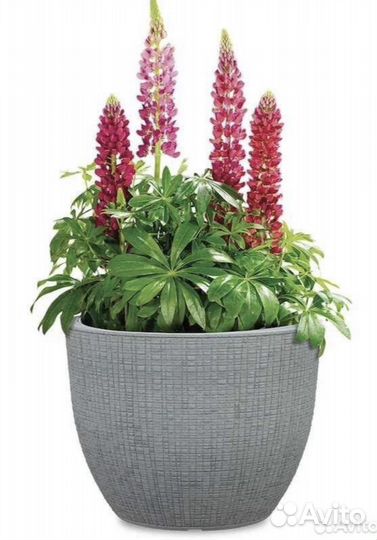 Кашпо уличное Германия