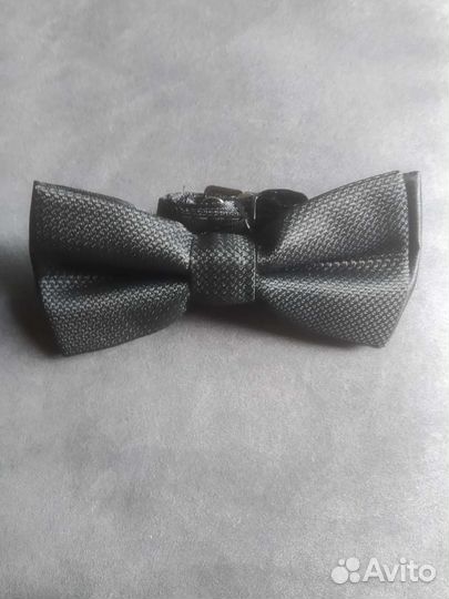 Бабочка новая