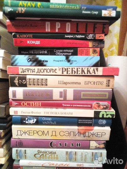 Современная литература и классика. Романы (2)