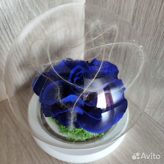 Стабилизированные розы в колбе