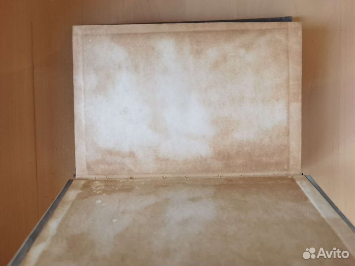 В.Евгеньев-Максимов 