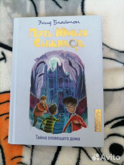 5 юных сыщиков. Тайна зловещего дома