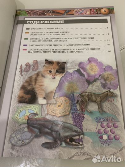 Тетрадь по биологии 10-11класс