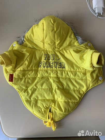 Одежда для собак и кошек