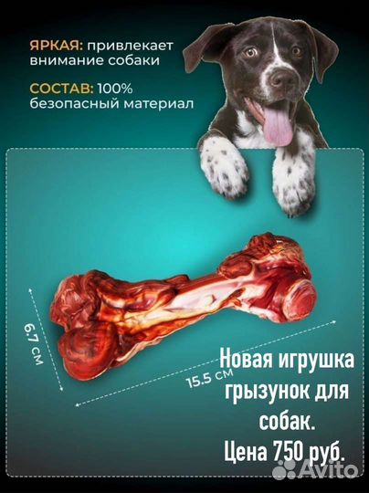 Новый грызунок для собак