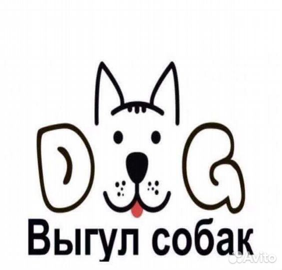 Выгул собак